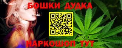 сатива Нальчик