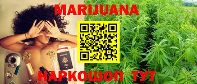 сатива Нальчик