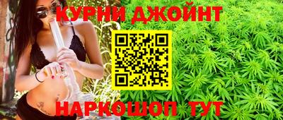 сатива Нальчик