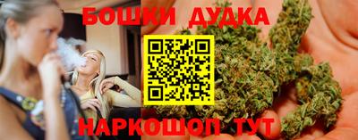 сатива Нальчик